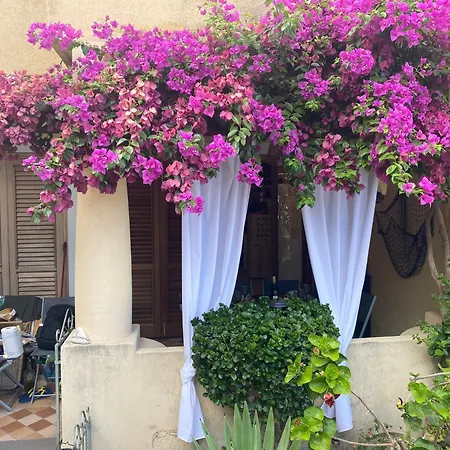 Casa Bouganville, Vista Mare! Lejlighed *